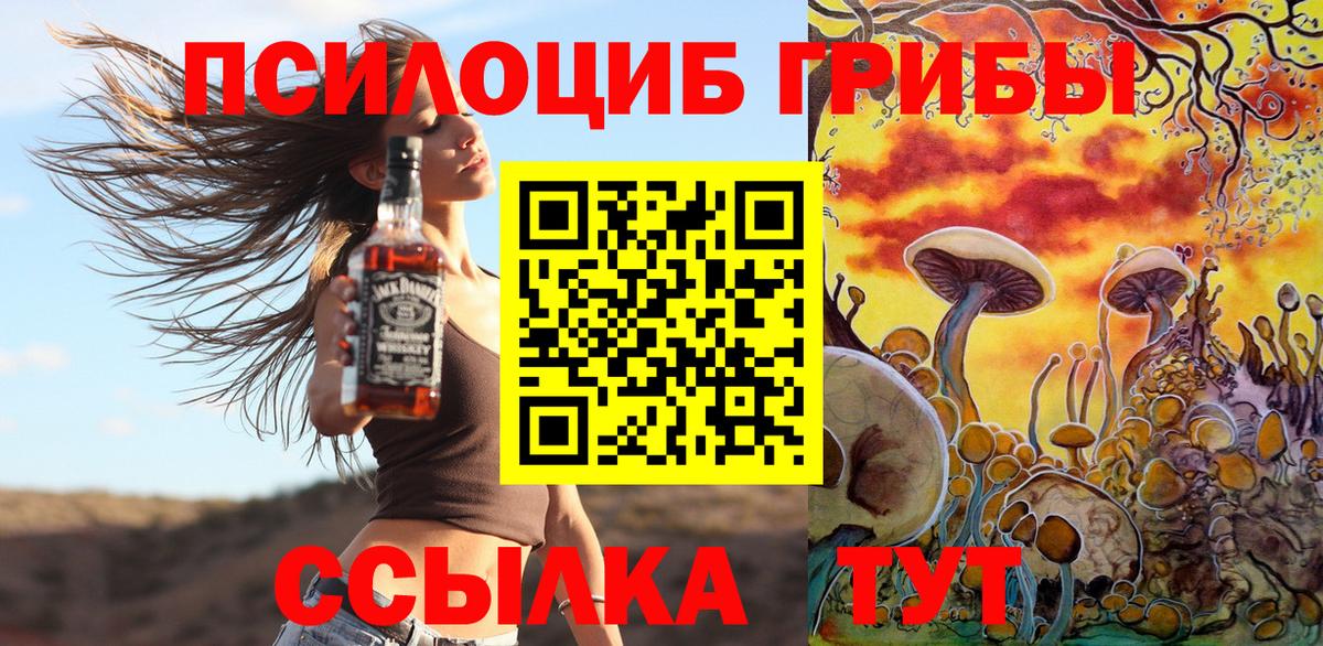 цена   Псилоцибиновые грибы мицелий  Вход с VPN  Псилоцибиновые грибы Psilocybe  Хасавюрт 